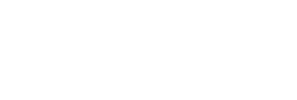 AORUS